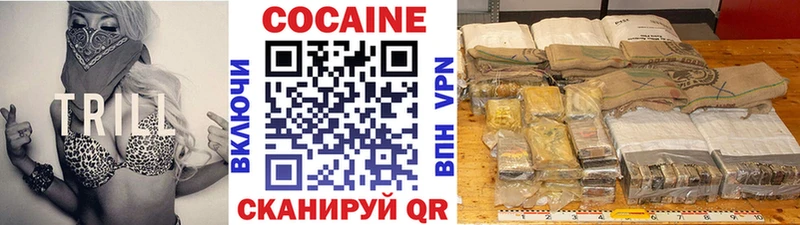 OMG ссылка  Строитель  COCAIN Fish Scale 