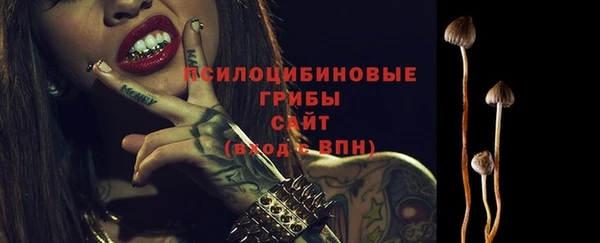 ECSTASY Балабаново