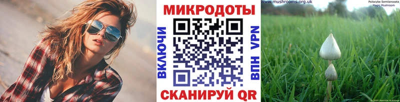 закладки  Строитель  Псилоцибиновые грибы прущие грибы 